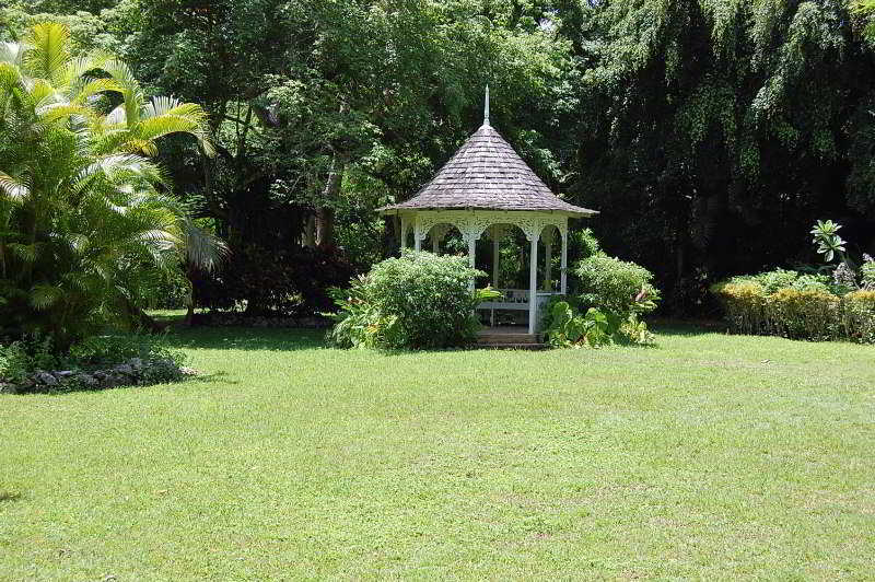 Inn At Shaw Park Gardens & Waterfalls オーチョ・リオス エクステリア 写真